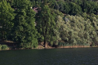 Alacakaranlıktaki Lakeshore parkında