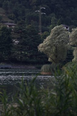 Alacakaranlıktaki Lakeshore parkında