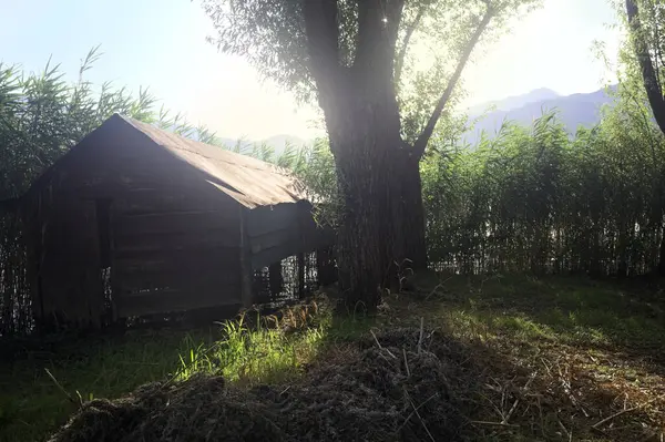 stock image Hut in the reeds