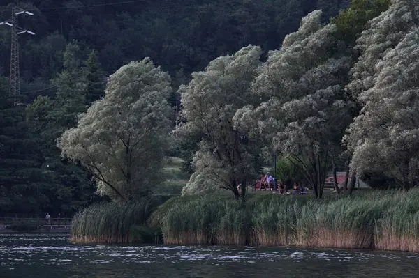 Alacakaranlıktaki Lakeshore parkında
