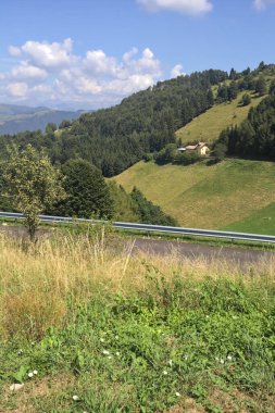 Koruluktaki bir uçurumda malikâne