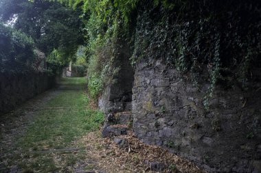 Parkta gölgede yarım yamalak bir patika