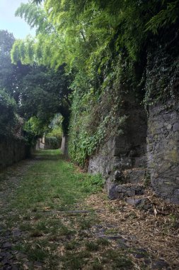 Parkta gölgede yarım yamalak bir patika