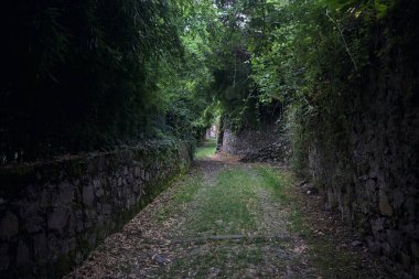 Parkta gölgede yarım yamalak bir patika
