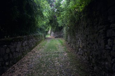 Parkta gölgede yarım yamalak bir patika