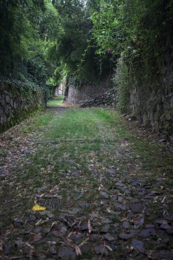 Parkta gölgede yarım yamalak bir patika