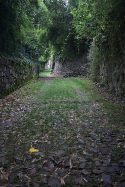 Parkta gölgede yarım yamalak bir patika