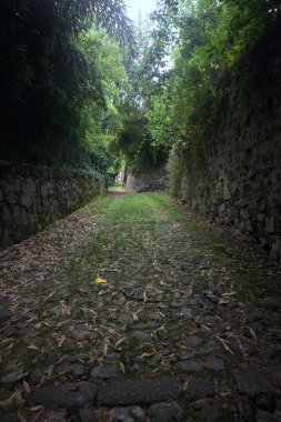 Parkta gölgede yarım yamalak bir patika