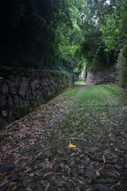 Parkta gölgede yarım yamalak bir patika