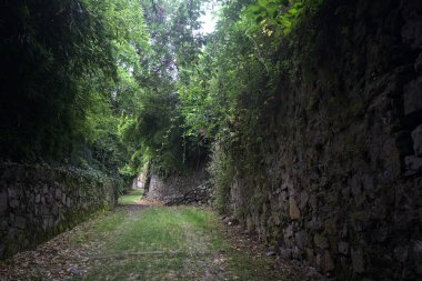 Parkta gölgede yarım yamalak bir patika