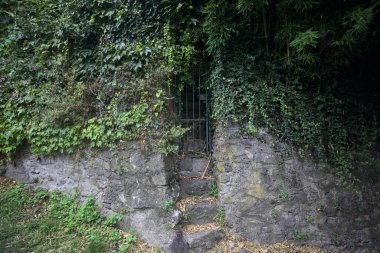 Taş bir duvarda merdiven