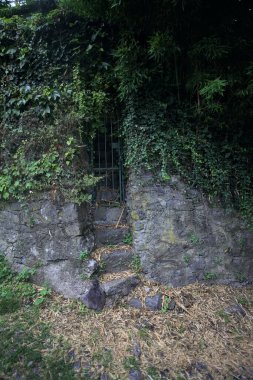 Taş bir duvarda merdiven