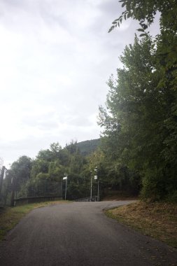 Bir dağ yolunda eğil