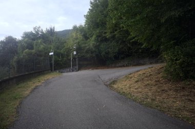 Bir dağ yolunda eğil