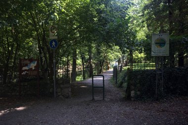 Ormandaki patikaya giden bir geçit.