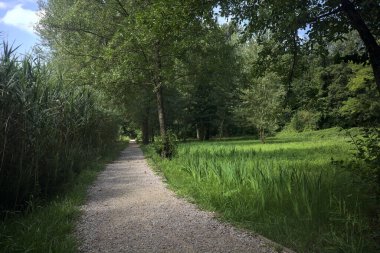 Parktaki toprak izi.