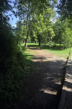 Ormandaki toprak izi.