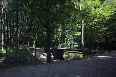 Ormandaki bir derenin üzerindeki köprü.