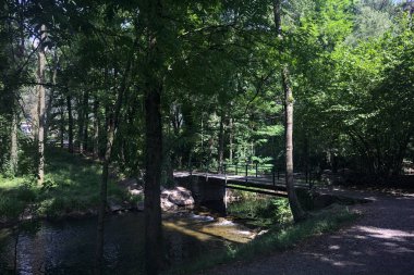Ormandaki bir derenin üzerindeki köprü.