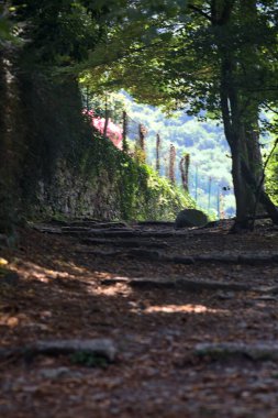 Parkta merdivenli patika