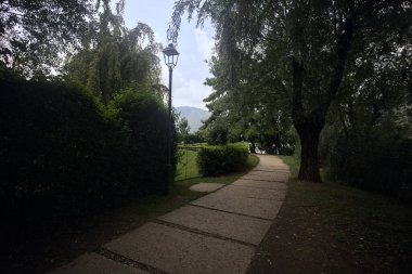 Göl kıyısında patika.