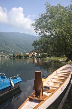 Bir ağacın yanında demirlemiş kayık.