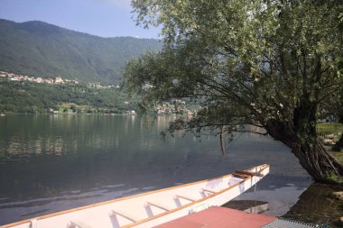 Bir ağacın yanında demirlemiş kayık.