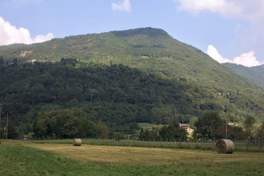 Saman balyalarıyla biçilmiş tarla