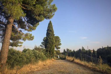 Bir parktaki istihkam yolu