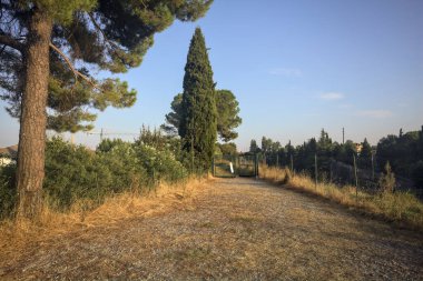 Bir parktaki istihkam yolu