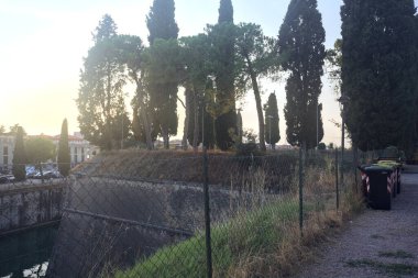 Parkta bir sıra ağaç.