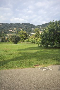 Gün batımında bir parkta çimenlik