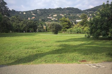 Gün batımında bir parkta çimenlik