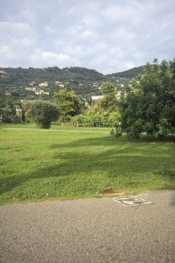 Gün batımında bir parkta çimenlik