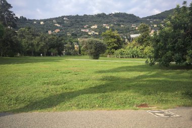 Gün batımında bir parkta çimenlik