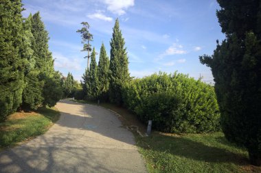 Gün batımında parkta bir patika