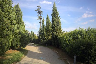 Gün batımında parkta bir patika