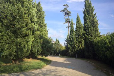 Gün batımında parkta bir patika