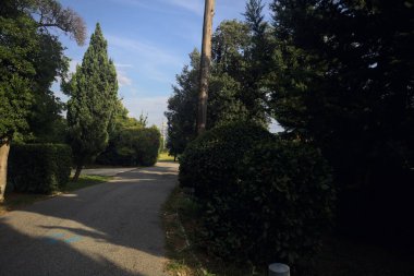 Gün batımında parkta bir patika