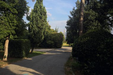 Gün batımında parkta bir patika