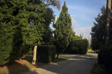 Gün batımında parkta bir patika