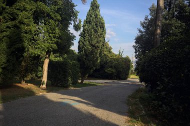 Trail in a park at sunset