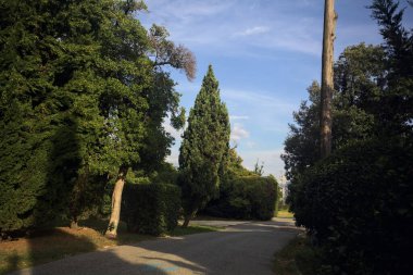 Gün batımında parkta bir patika