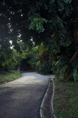 Gün batımında parkta bir patika