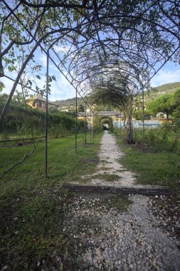 Bahçede kemerli pergola