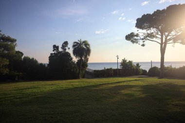 Deniz kenarında bir parkta çimenlik