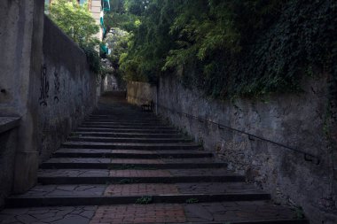Gölgede merdiven tırmanıyor.