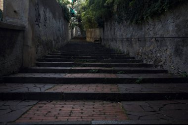 Gölgede merdiven tırmanıyor.