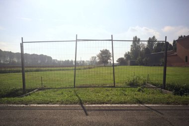 Kırsaldaki otlak arazide.