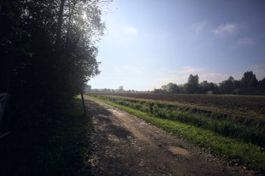 Kırsalda çamurlu patika